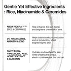 Anua Rice 7 Ceramide Hydrating Barrier Serum