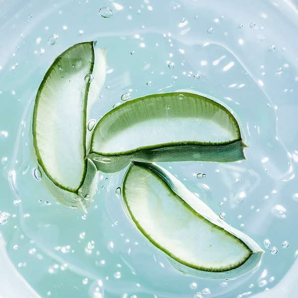 Dr. Orga Aloe Skin Soothing Gel (210ml)
