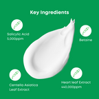 NINELESS A-Control Heartleaf BHA Cleanser (120ml)