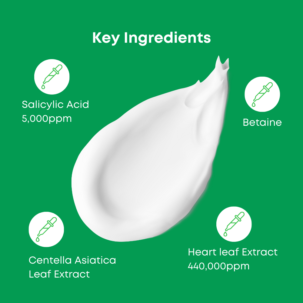 NINELESS A-Control Heartleaf BHA Cleanser (120ml)
